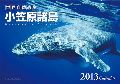 世界自然遺産小笠原諸島　カレンダー